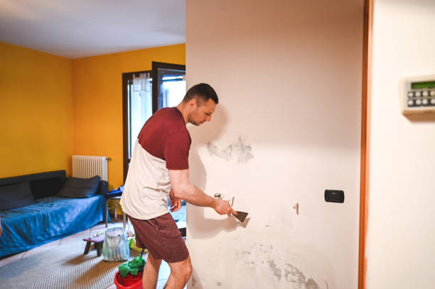 Best HVAC Mold Remediation in Inverness, IL
